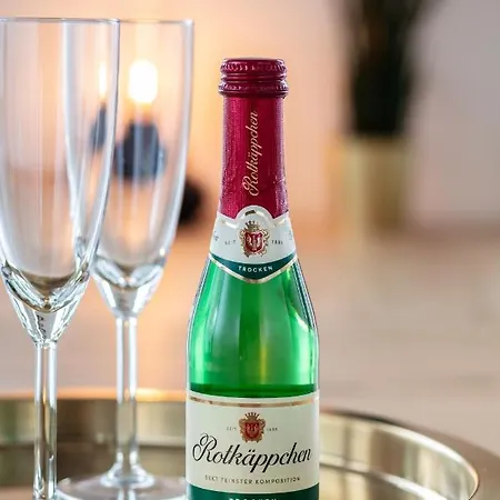 Pineapple - Zwinger Vi - 98qm - 1x Free Parking * Dresden