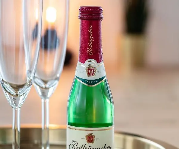 Pineapple - Zwinger Vi - 98qm - 1x Free Parking * ドレスデン